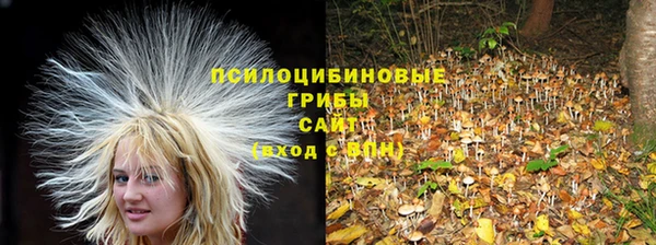 MDMA Premium VHQ Бронницы
