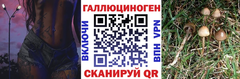 Галлюциногенные грибы MAGIC MUSHROOMS  Губаха 