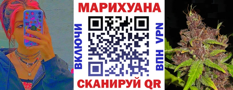 как найти наркотики  Губаха  Конопля гибрид 